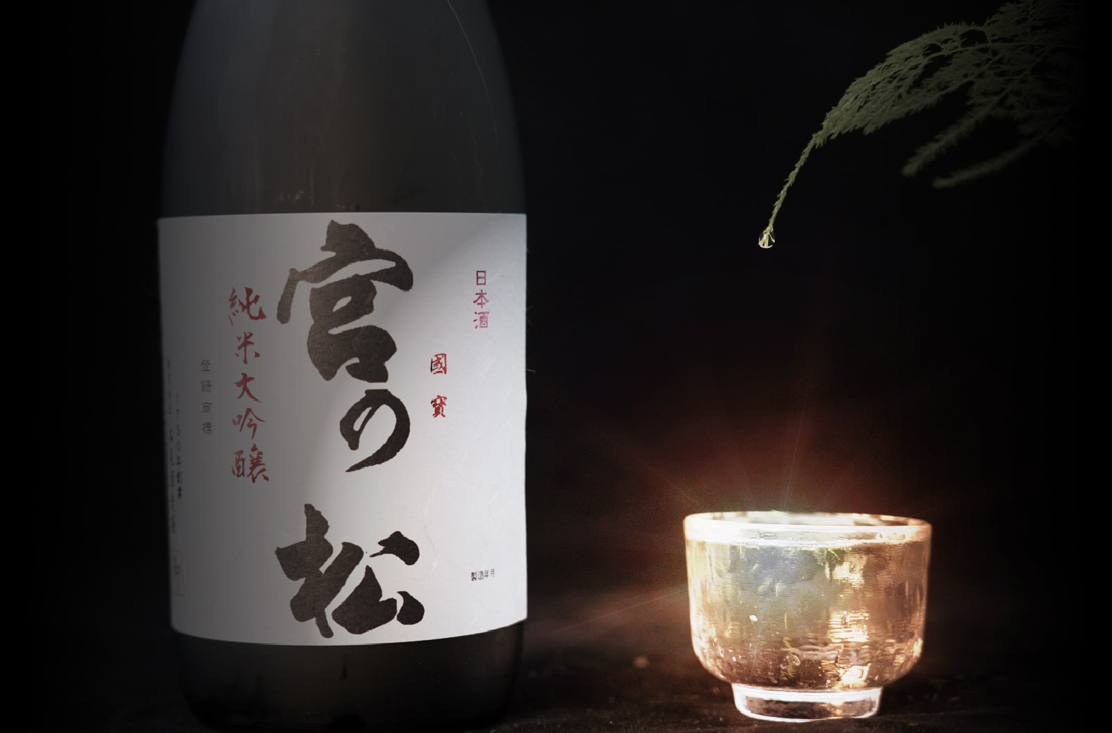 背景